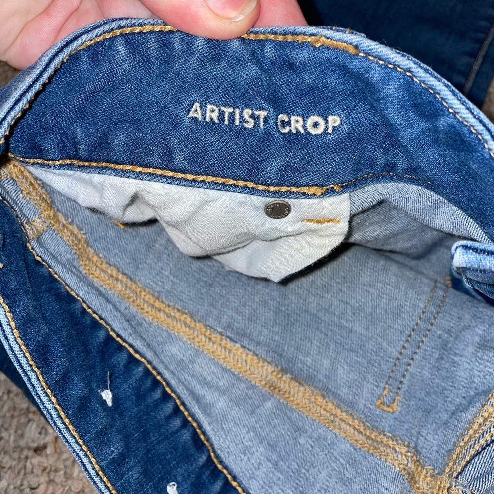 American Eagle Artist Crop Jeans Size 18